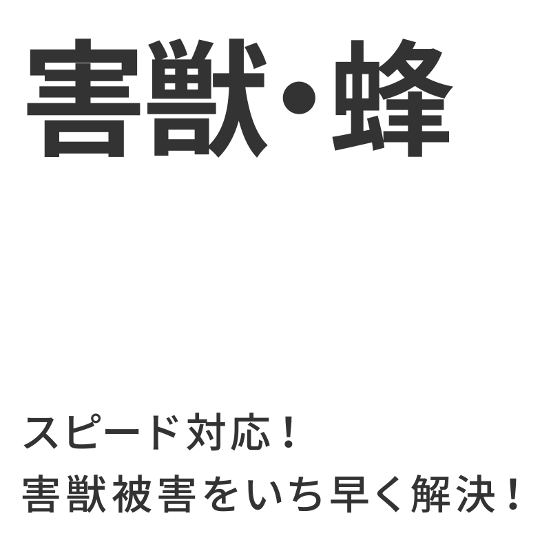 害獣・蜂駆除｜スピード対応！害獣被害をいち早く解決！