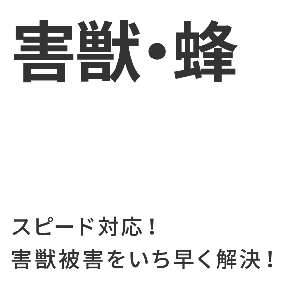 害獣・蜂駆除｜スピード対応！害獣被害をいち早く解決！