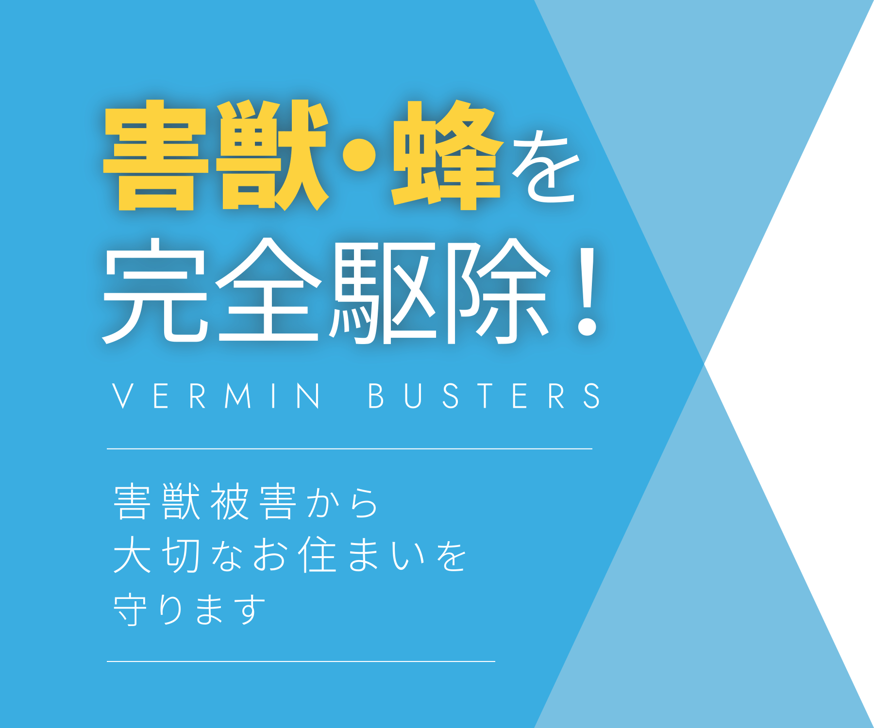 害獣・蜂を完全駆除！｜害獣被害から大切なお住まいを守ります