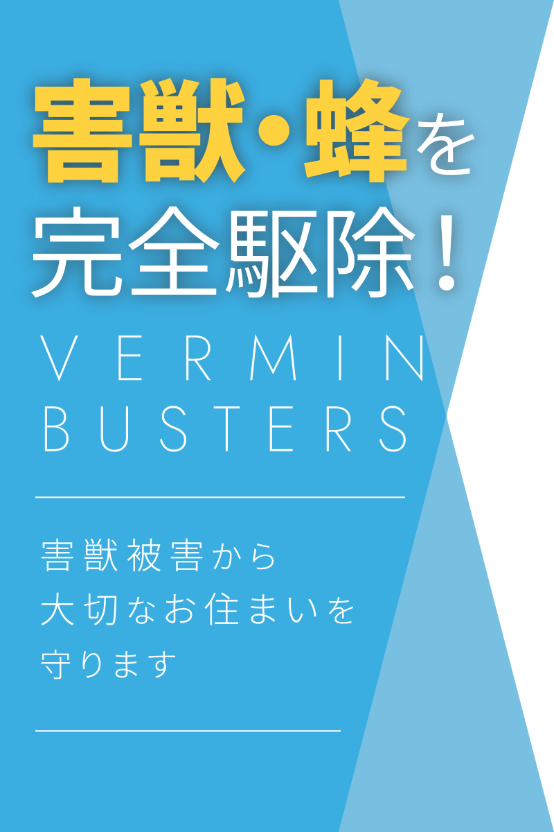 害獣・蜂を完全駆除！｜害獣被害から大切なお住まいを守ります